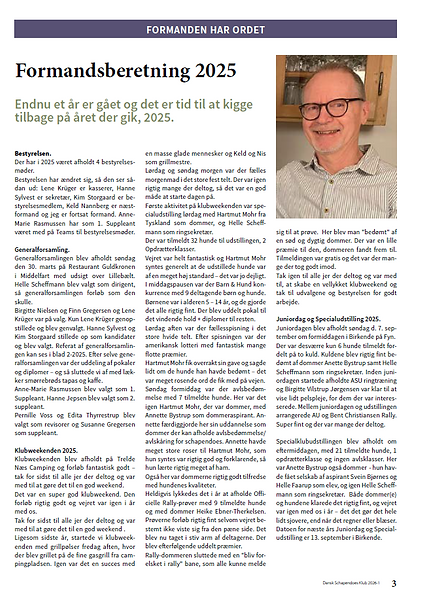 Formandsberetning 1.png