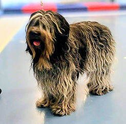 Dk01014_2023 Fanica Lilah Hipdejli Lucia.jpeg