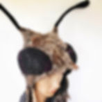 Thumbnail: Gothic Moth Headdress