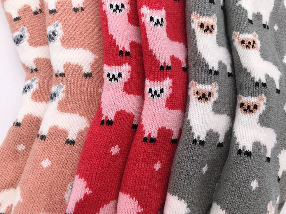 Thumbnail: Ladys Indoor Sherpa Lined Cosy Socks
