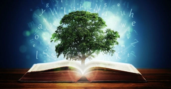 Study The Bible Like Never Before.                     Take our Course with a Discount Code.  