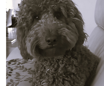 Ralph B&W_edited.png