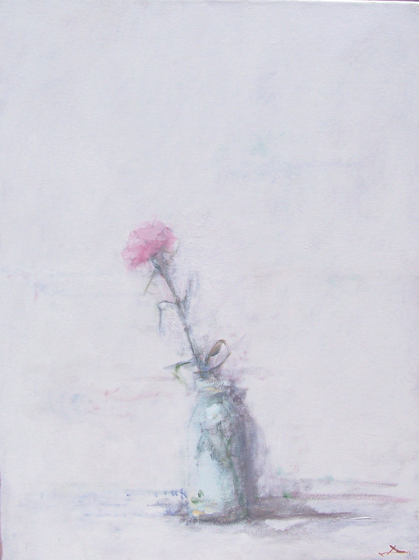 Pink Carnation