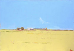 Summer Field