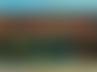 Too Much Information