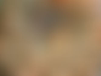 Fibonacci Sequence: Mathematical Harmony in Bonsai Art