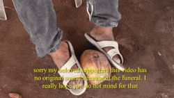 4.gif