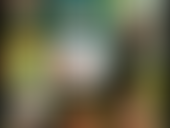 Visualizing vision with Vizcom