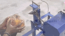 5.gif