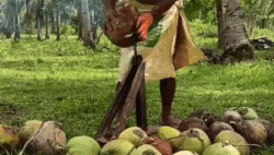 6.gif