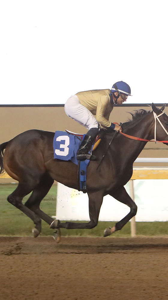 05 Ship Her West-finish.jpg