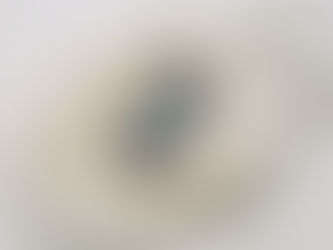 5 Ways to Live More Sustainably