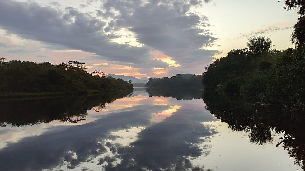 Rio Preto cinematográfico
