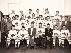 VIII. Formation de l’équipe...