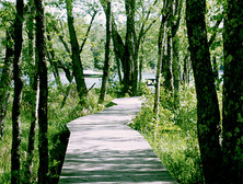 Quai sentier sur pilotis