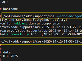 How to Collect SDDC Manager Logs for Troubleshooting and Diagnostics