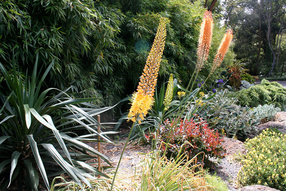 Private Garden Mysite