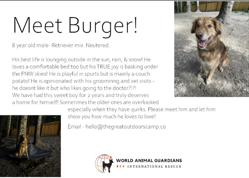 Screenshot 2025-12-18 095540.png