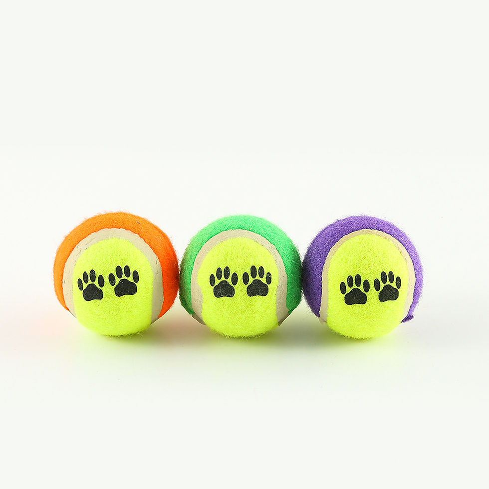 Thumbnail: Outdoor Pet Throwing Cue Dog Training Toy