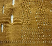 cat.41.2-8753 AMNH.jpg