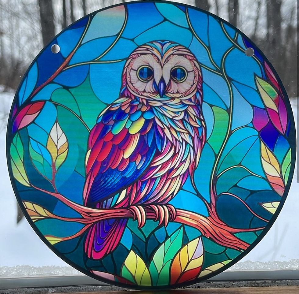 Thumbnail: Suncatcher Acrylic Colourful Blue Owl Bird 6” Round Decoration Home Cottage
