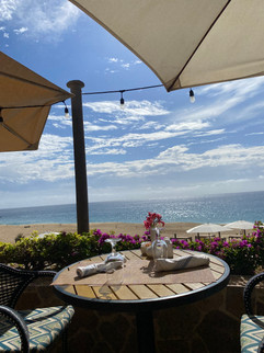 This photo was the view from breakfast and we could see all the whales breaching.