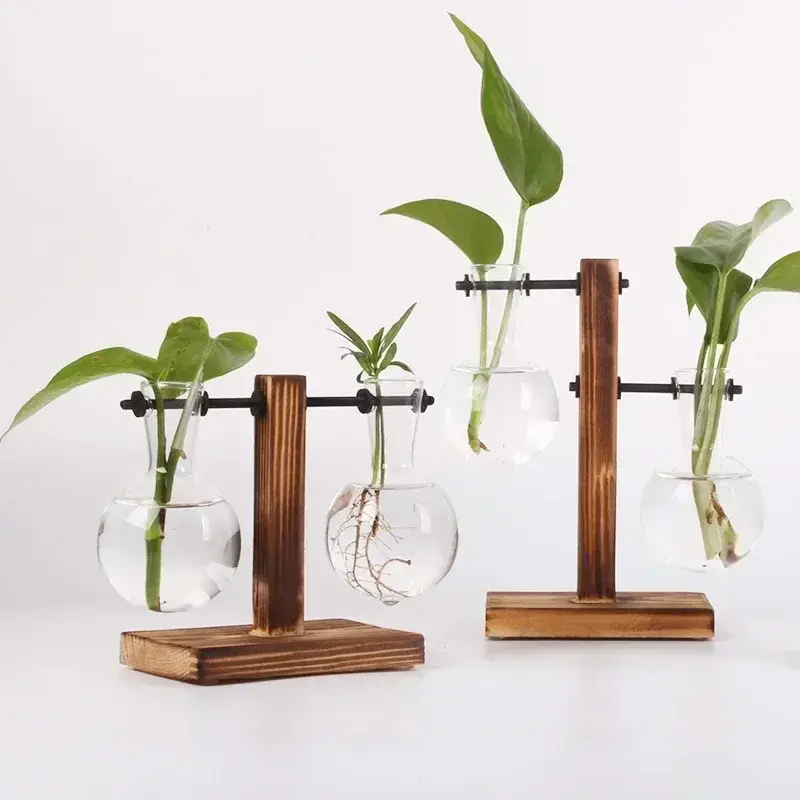 Vaso de vidro para terrário de plantas hidropônicas com suporte de madeira.