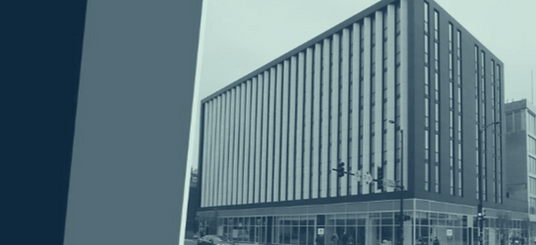 choice portfolio thumbnail - duotone.png