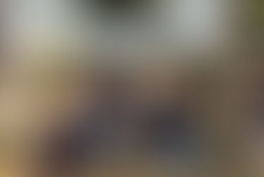 Projeto Caiman Participa do 9º Congresso Brasileiro de Herpetologia