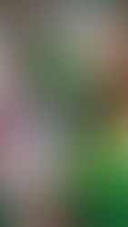 Diversão Para as Crianças Durante a Quarentena é Possível?