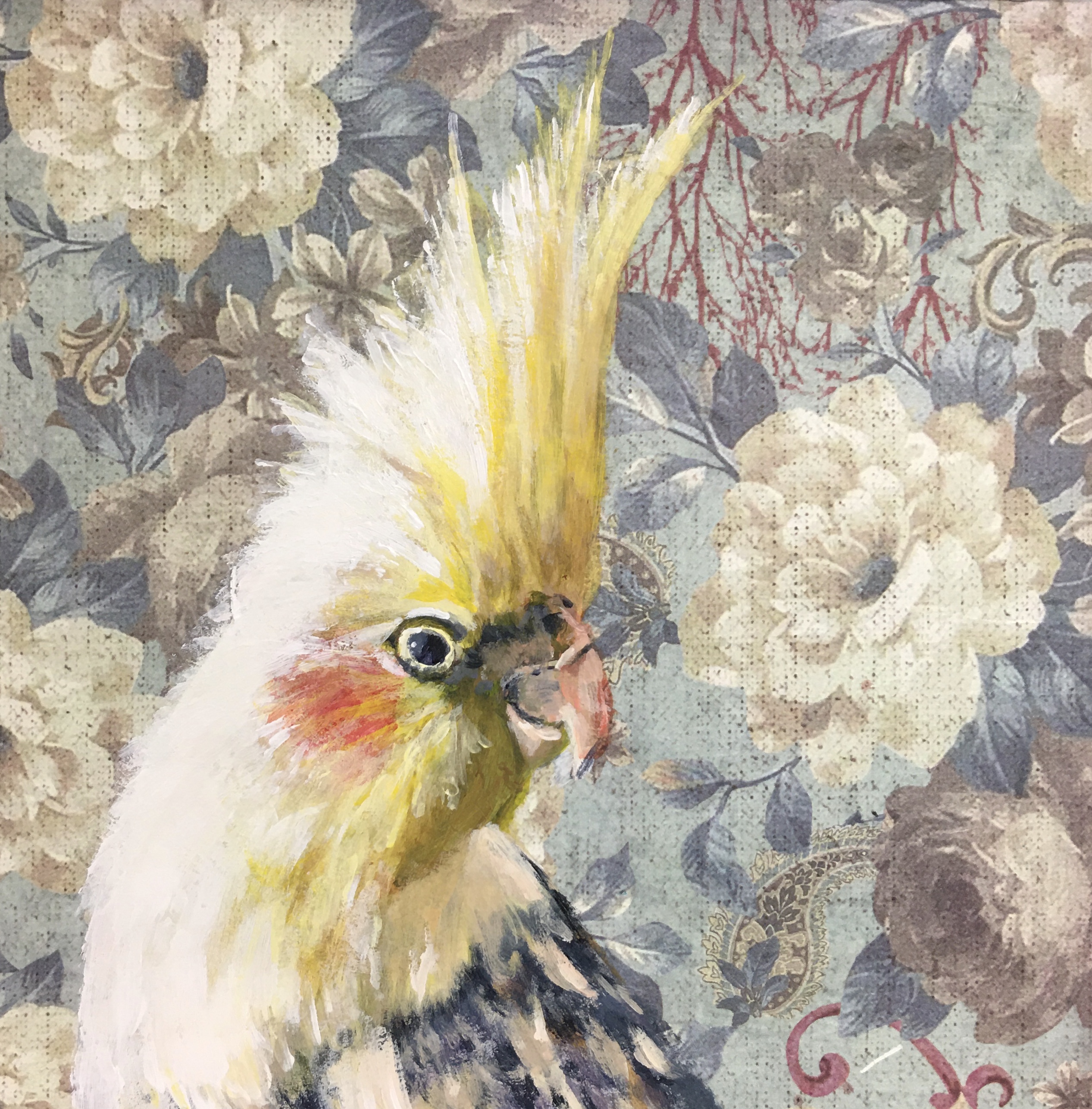Cockatiel