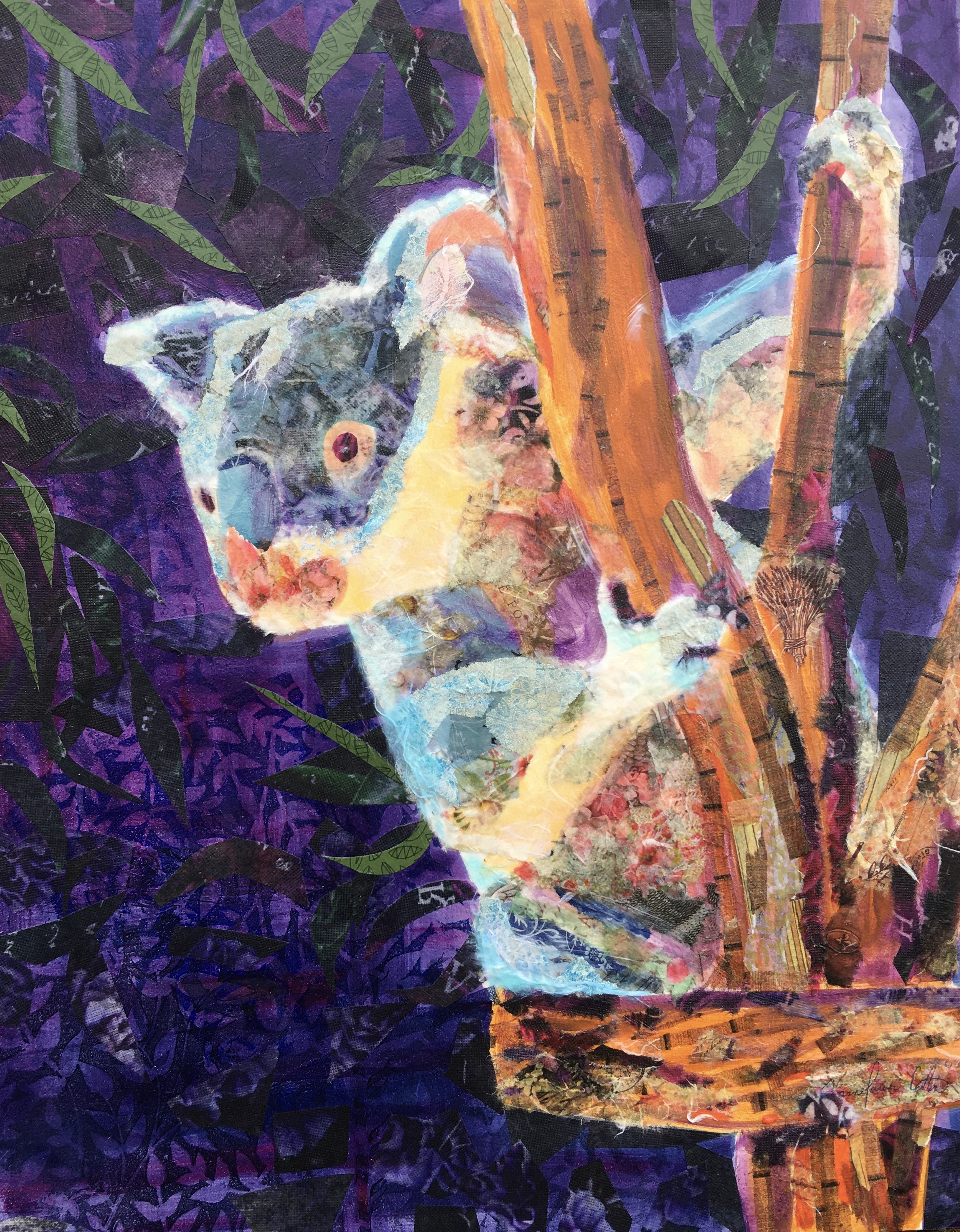 Kerry the Koala