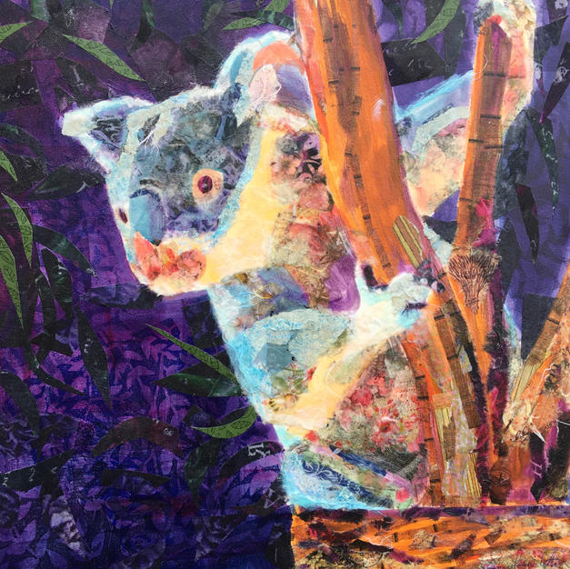 Kerry the Koala