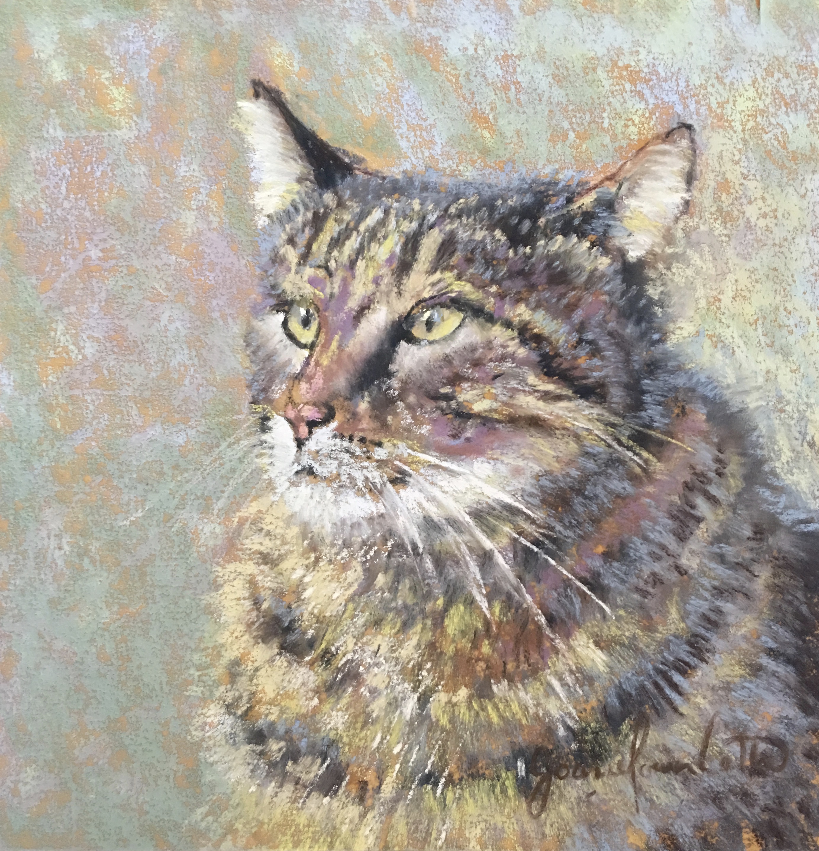 Venetian Cat