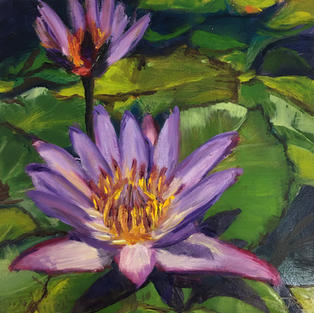 Waterlilies