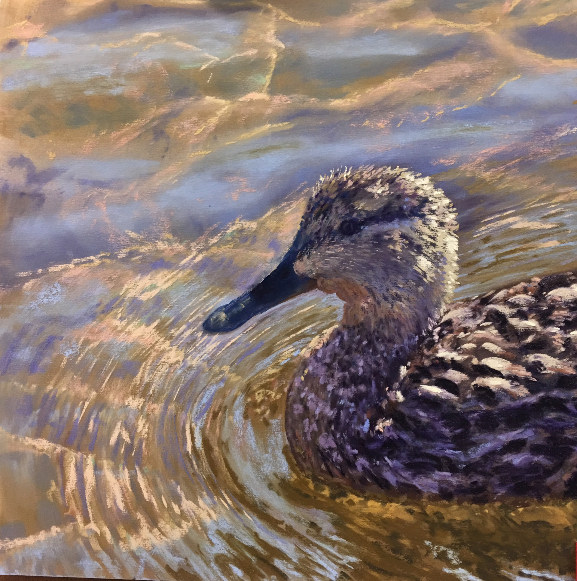 Ripples