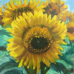 Sunflowers