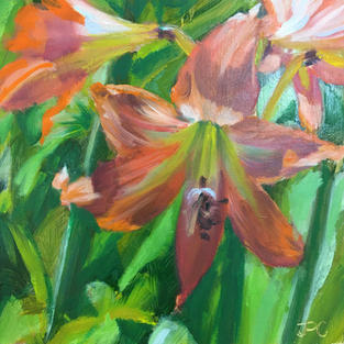 Lilies