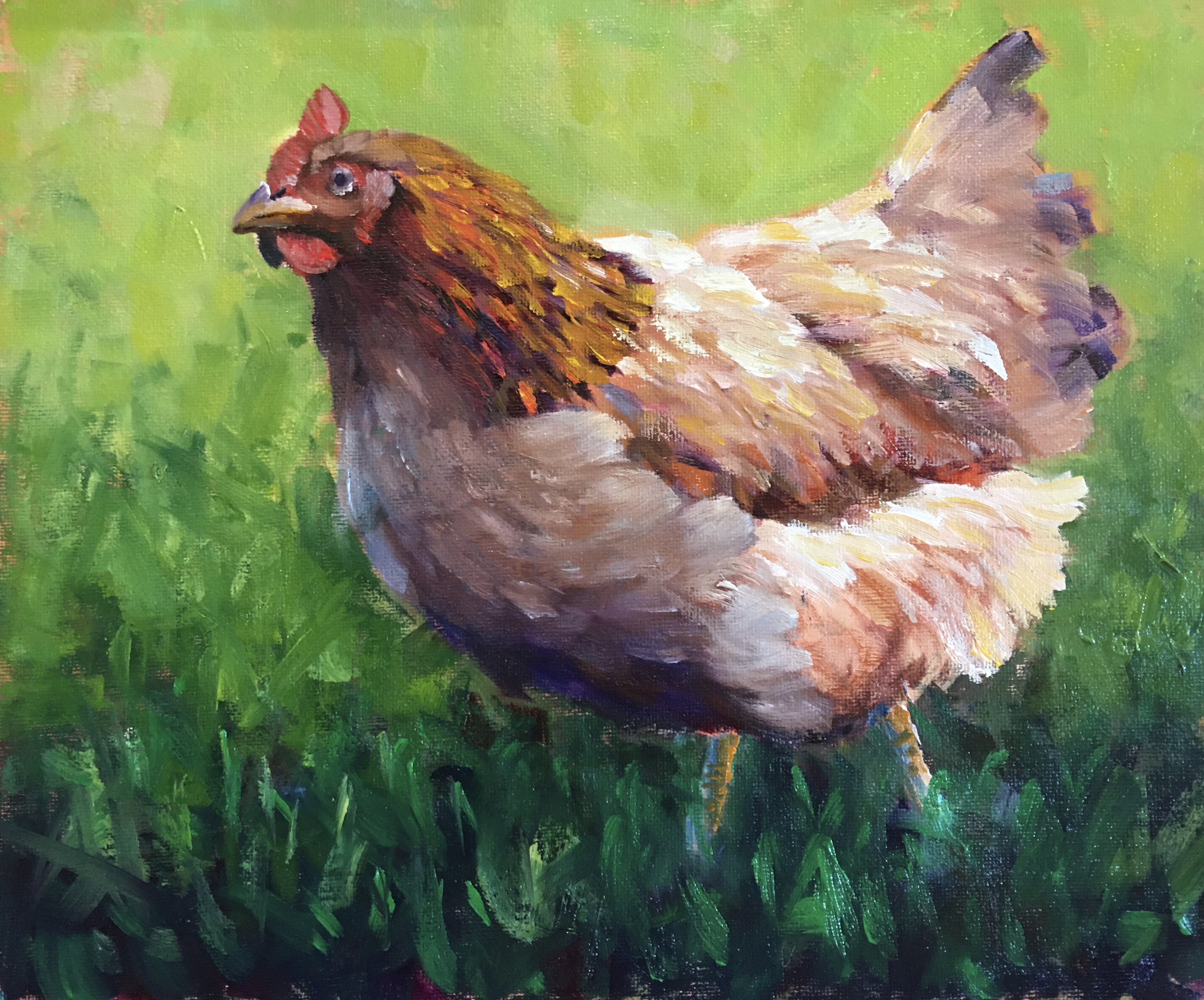 Henrietta