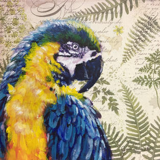 Blue Parrot