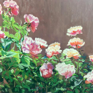 Rising Roses
