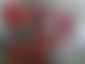 Building Stronger Food Systems: Why Capacity Matters as Much as Capital