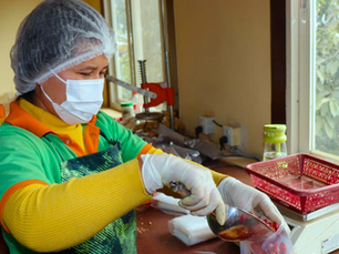 From Local Innovation to Global Impact: Business Drivers for Reducing Food Loss and Waste 