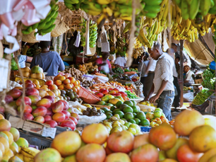 Building the Ecosystem for Adoption: Turning Codex Guidelines into Practice in Traditional Markets