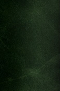 Screenshot 2023-07-17 at 09.29.16.png