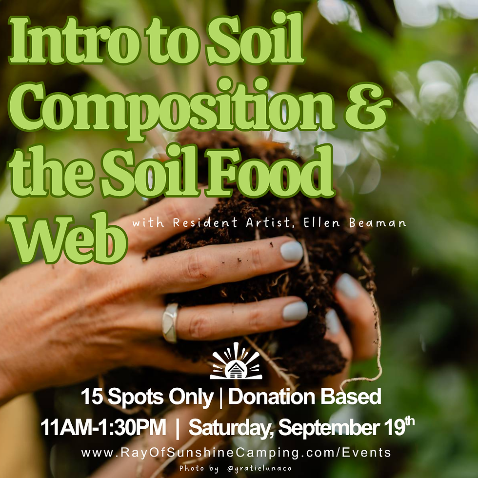 Introduction to Soil Composition & the Soil Food Web