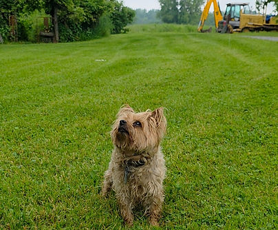 20250606_114610(1)_edited.jpg