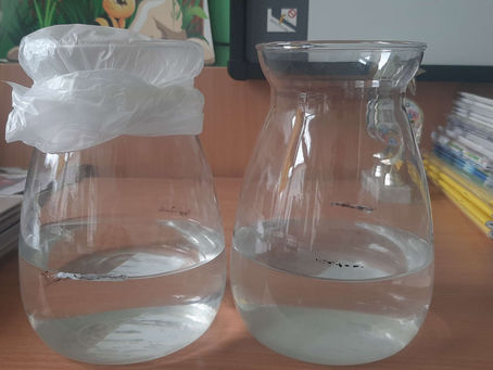 Досліджуємо властивості води 💧