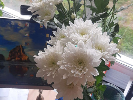 Експерементуємо 🔍🧫Чи поглинають рослини воду 💐 Досліджуємо
