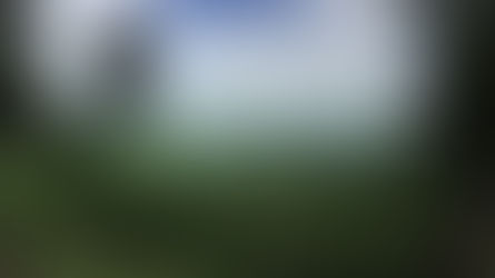 The Benefits of Sustainable Forestry: A Win-Win for Landowners and the Environment